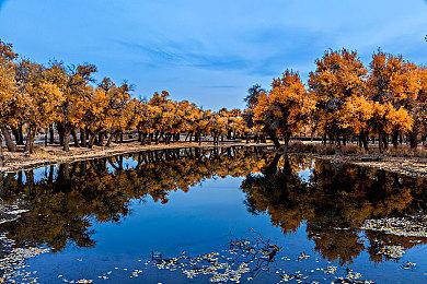 被取消游戏《疤面煞星2》新视频 虐杀原形+GTA？